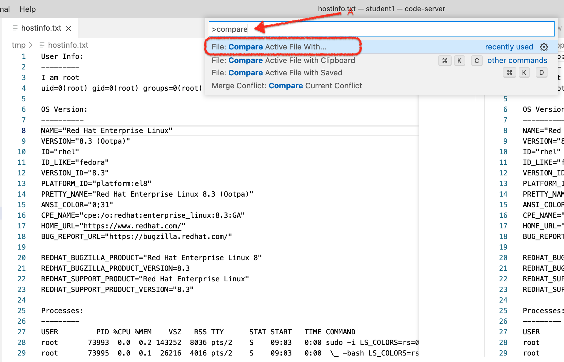 compare command